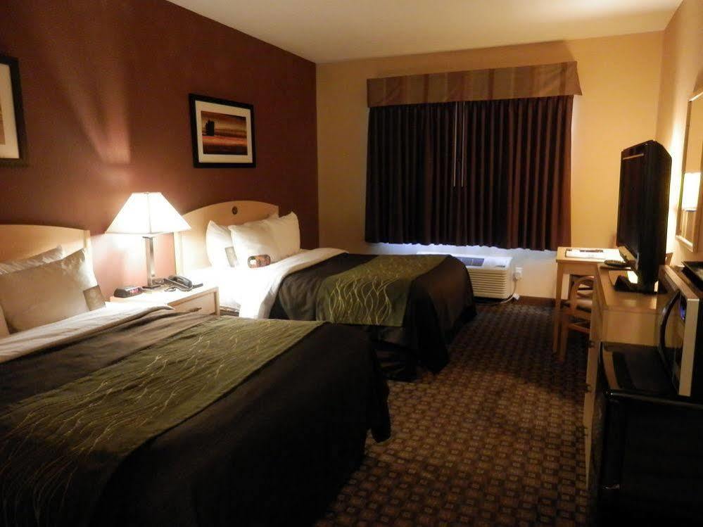 Quality Suites Stratford Ngoại thất bức ảnh